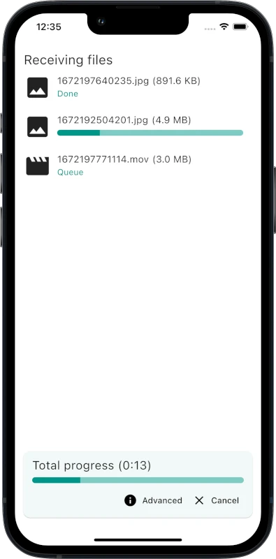 LocalSend iPhone 端界面